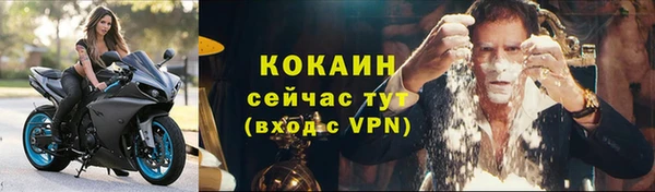 бошки Горняк