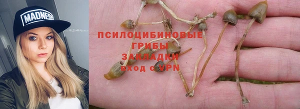 Альфа ПВП Горно-Алтайск