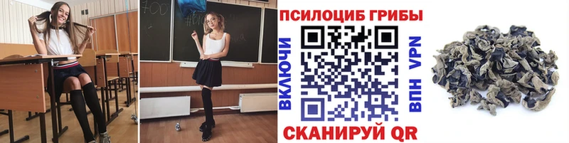 Галлюциногенные грибы Cubensis  Купить где  Черноголовка 