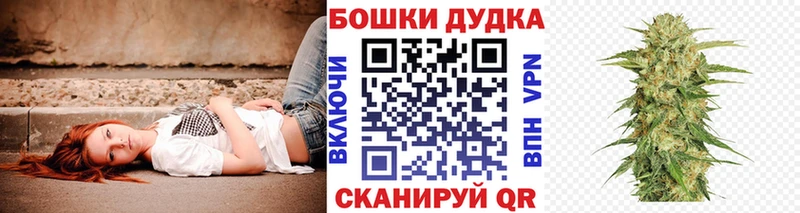 Канабис гибрид  Купить  Черноголовка 